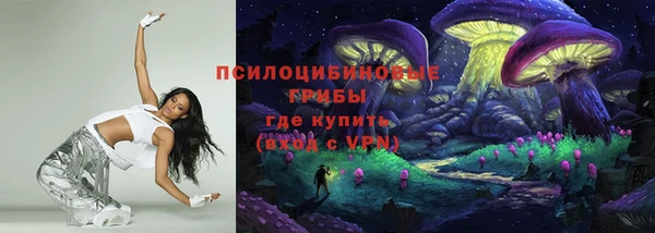 МДПВ Алзамай