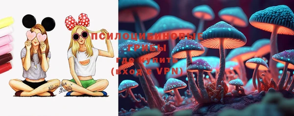МДПВ Алзамай