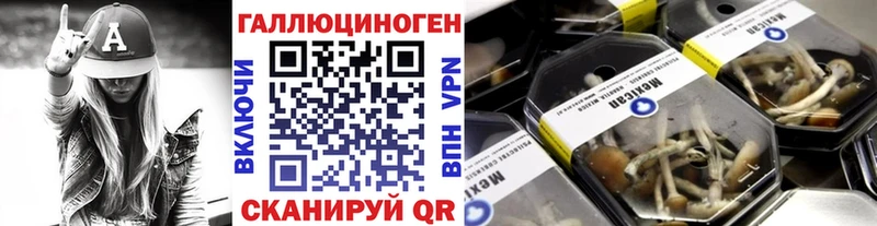 купить наркотики сайты  Дедовск  Галлюциногенные грибы мицелий 