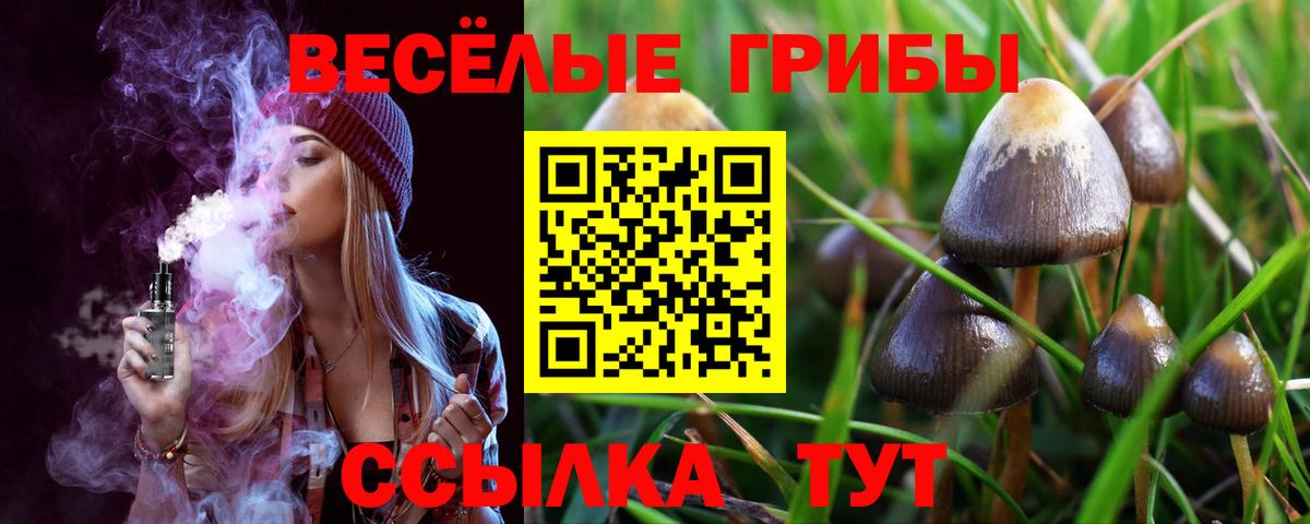 Галлюциногенные грибы Psilocybe  Галлюциногенные грибы Psilocybine cubensis  Дедовск  Вход с VPN 