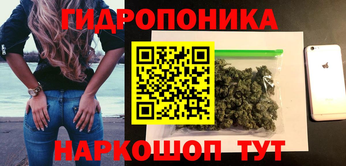 Конопля планчик Дедовск